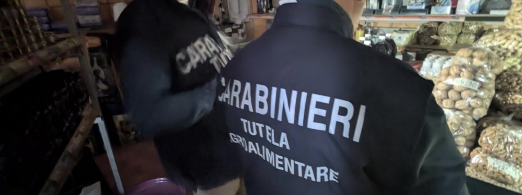 ‘Blitz’ in un vivaio: maxi-sequestro di gasolio e manufatti abusivi VIDEO