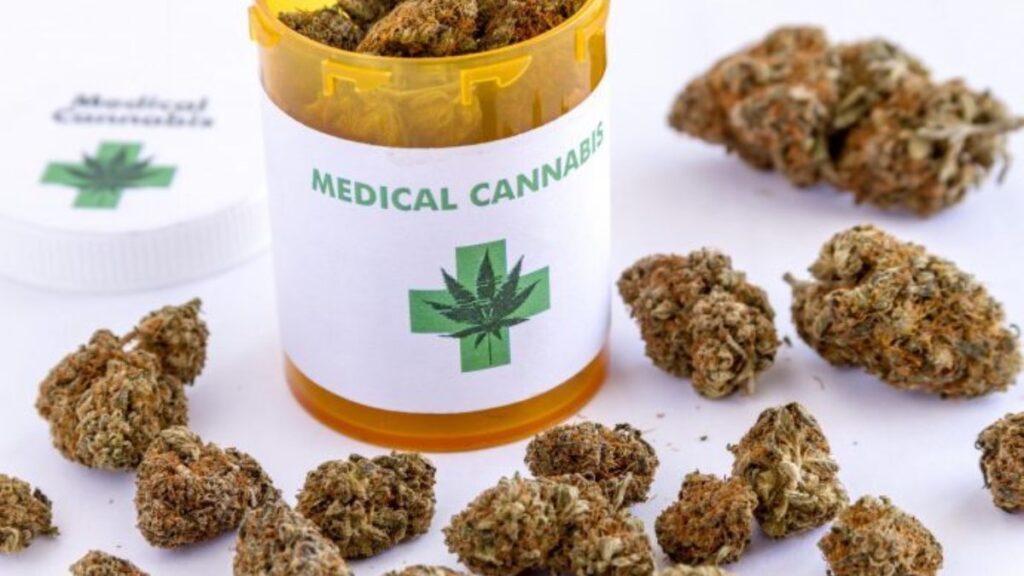 Cannabis terapeutica, un comitato chiede di incontrare Schifani