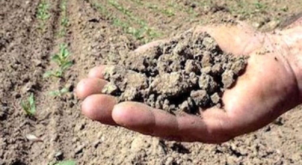Cia: “La Regione sostenga i viticoltori del Trapanese per la siccità”