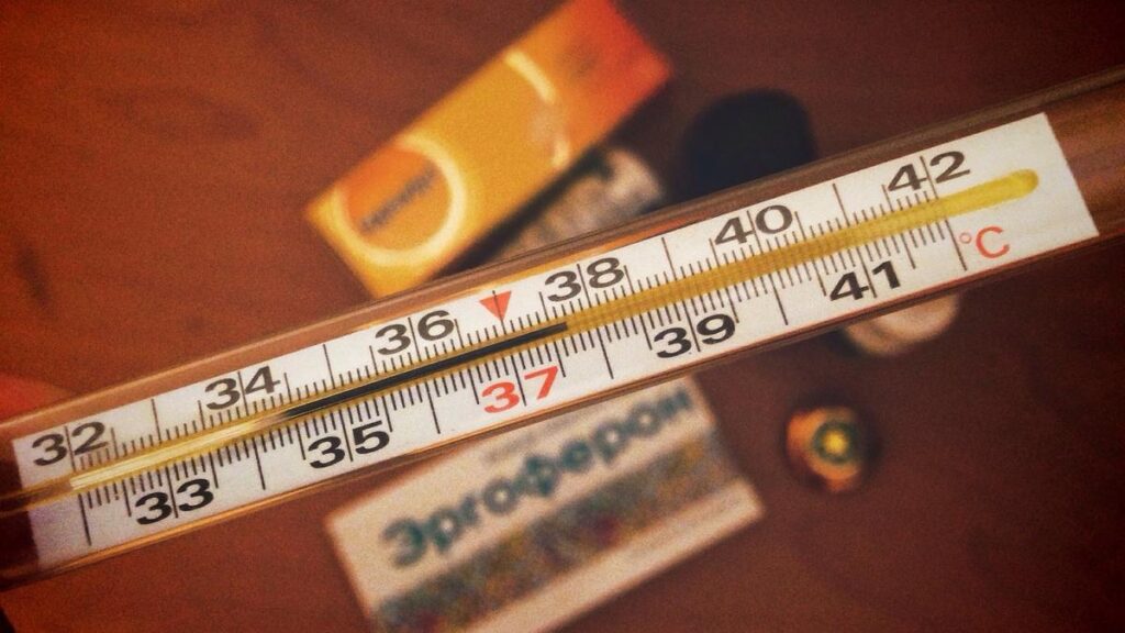 Influenza, boom di contagi anche in Sicilia. Gli esperti: “Quando allarmarsi”