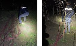 Padre e figlio minorenne rubano cavi di rame in un parco fotovoltaico: inseguimento e arresto a Catania