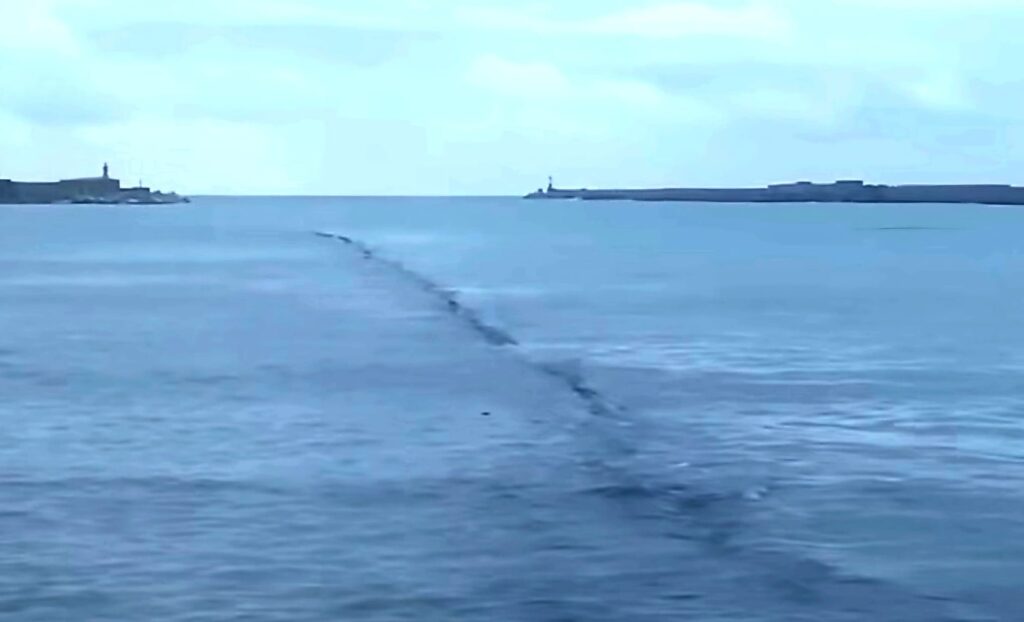 Dissalatore di Porto Empedocle, Catanzaro annuncia un’interrogazione