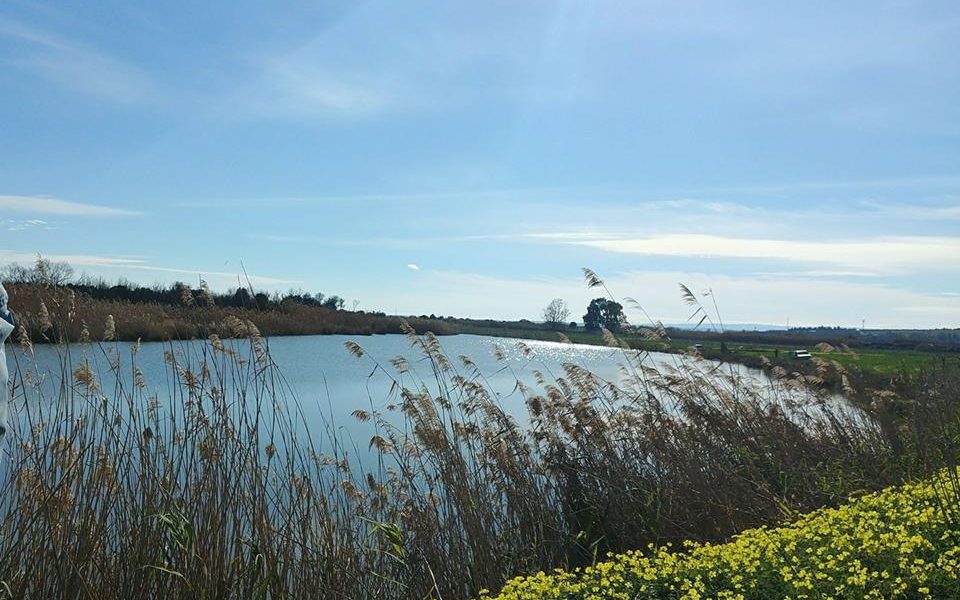 Oasi del Simeto, i proprietari demoliscono la casa abusiva