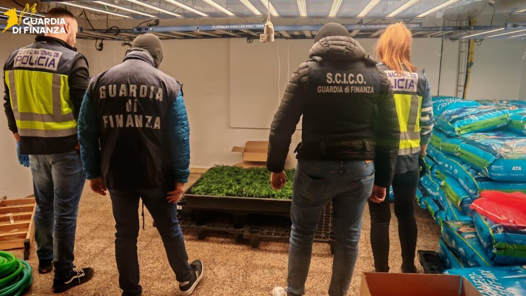 Droga, blitz tra Catania e la Spagna: scattano 12 arresti NOMI VIDEO