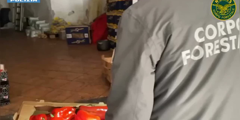 Catania, controlli nelle macellerie: sanzioni per oltre 42 mila euro. Il video