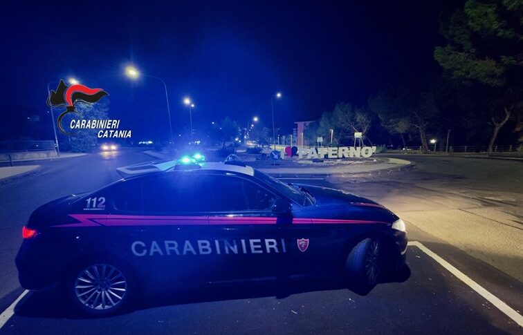 Catania. Non trova un libro, minaccia con una pistola i fratelli e li morde