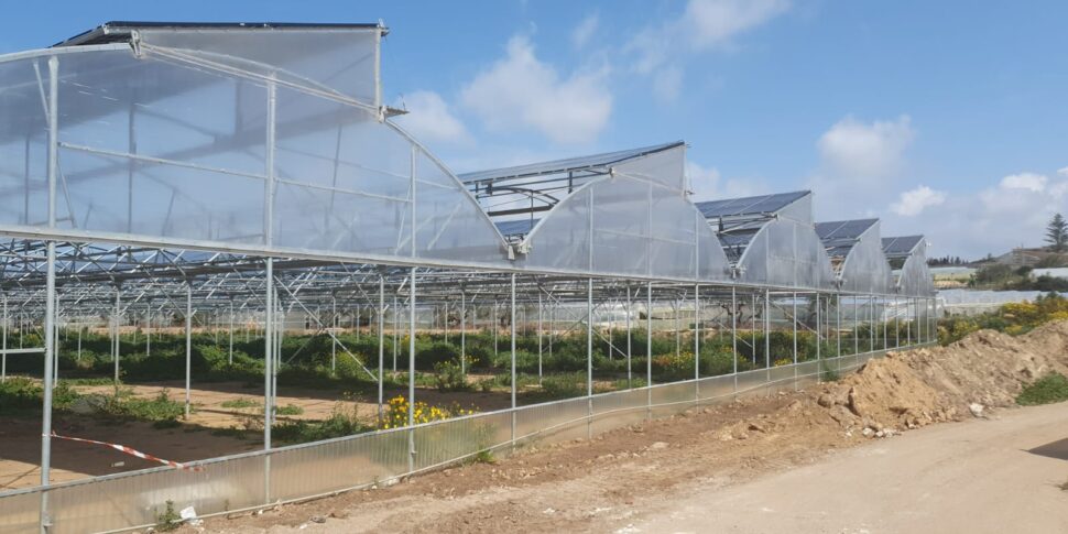 A Santa Croce Camerina il primo impianto agrifotovoltaico con tecnologia Serra Archimede, finanziato da Baps