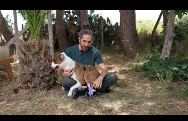 La storia di Kim, la cagnolina amputata che torna a correre grazie a una protesi realizzata in Sicilia