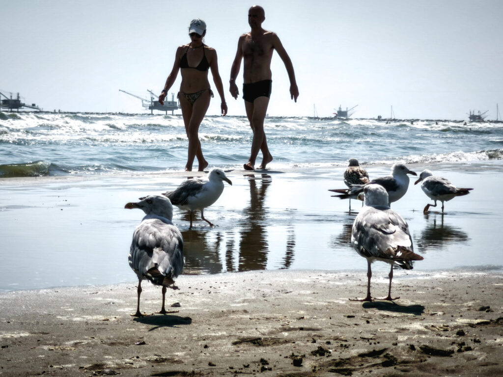 Mai così bollenti i mari, luglio da record: in Europa caldo estremo, siccità e incendi