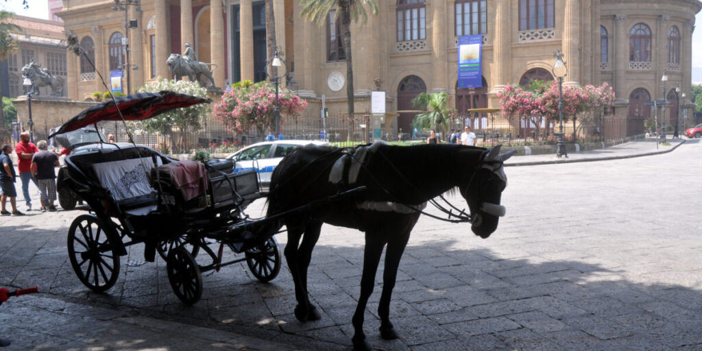 Caldo, a Palermo stop alle carrozze trainate da cavalli