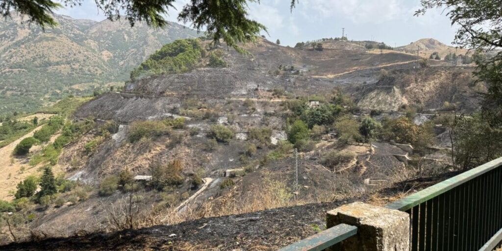 Incendio a Polizzi, feriti il sindaco e un operatore antincendio
