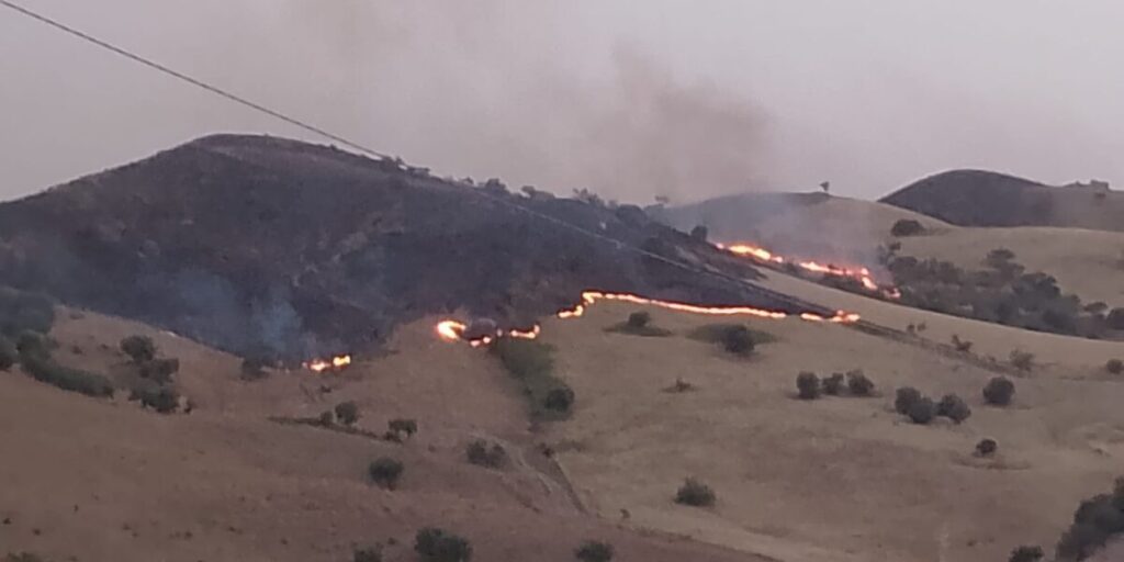 Incendi nelle Madonie: «Situazione drammatica, soccorsi in ritardo perchè i mezzi sono guasti»