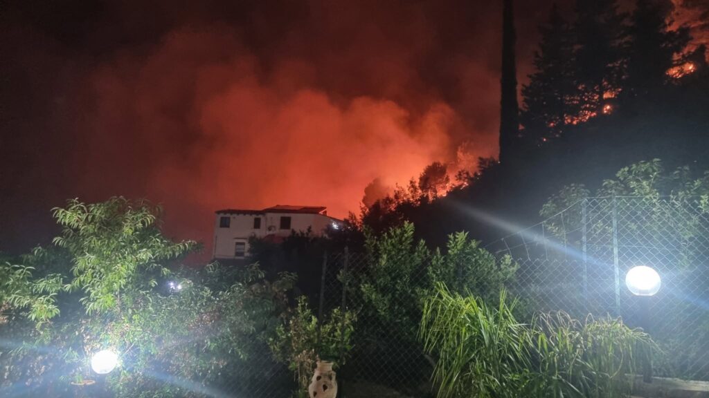 Incendi in Sicilia, la conta del disastro: danni per quasi 630 milioni