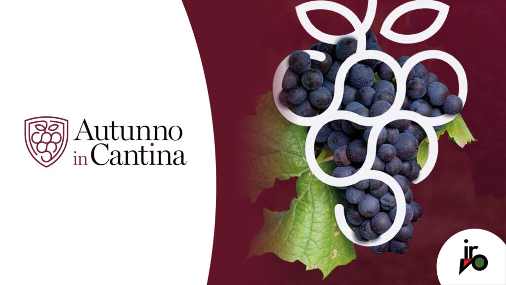 La Sicilia del vino cambia stagione, torna “Autunno in cantina”