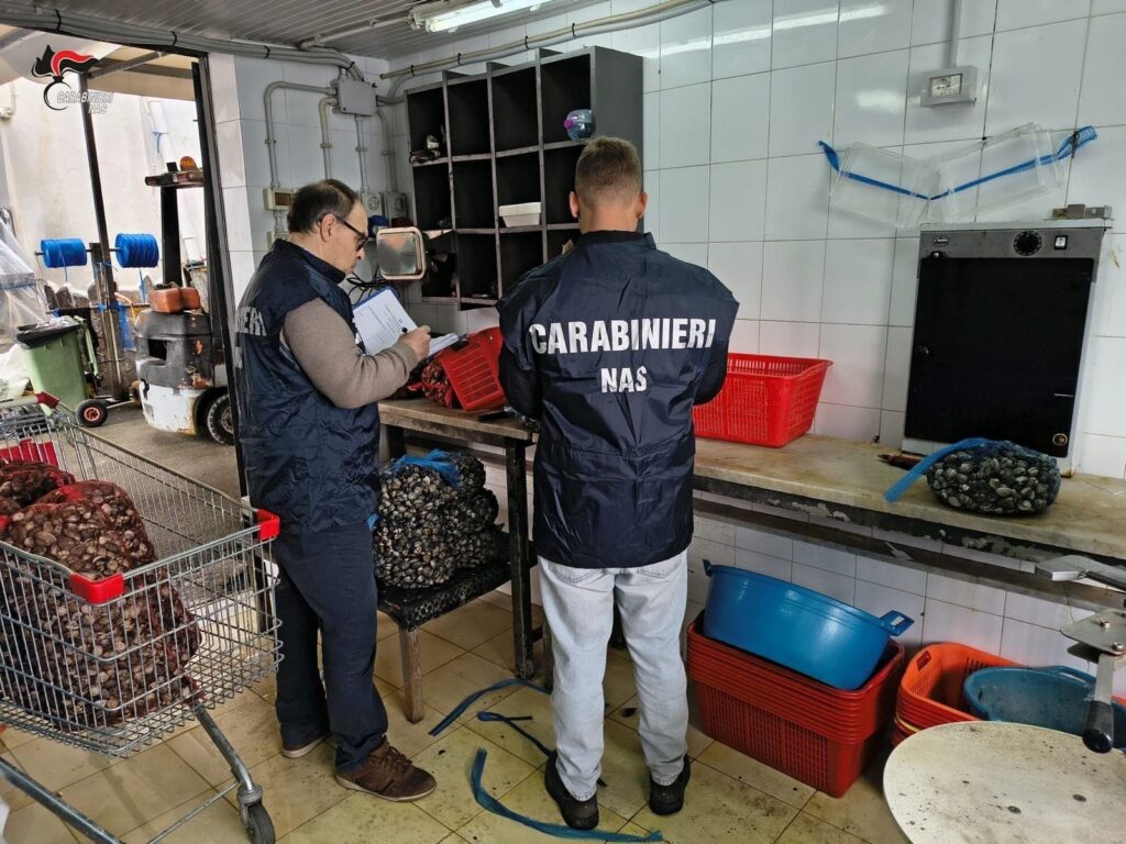 Controlli dei Nas, multe per 34mila euro: chiuse diverse attività