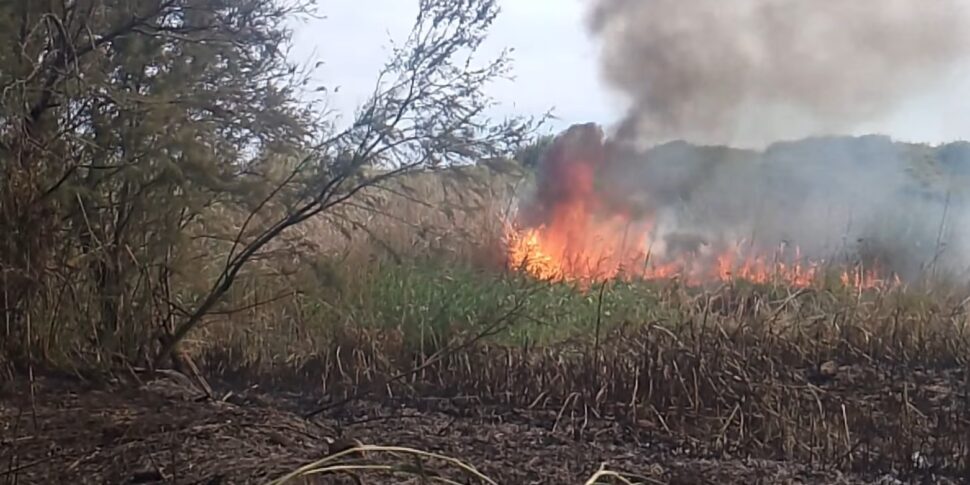 Taormina, incendio nel quartiere Zappulla: minacciate alcune abitazioni. Il sindaco: situazione tragica