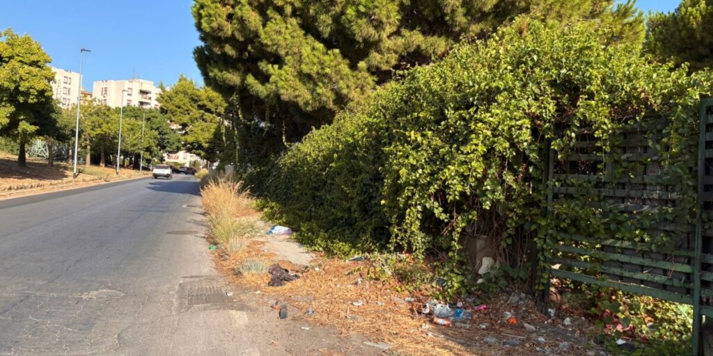 Palermo, marciapiede tra Brancaccio e via Oreto vietato ai pedoni: «È invaso da rovi e rifiuti»