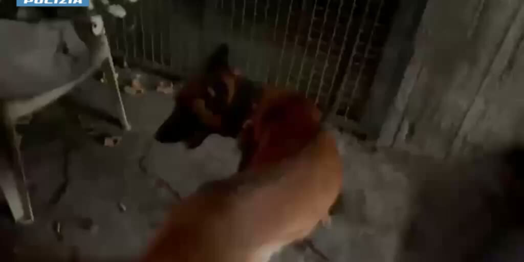 Catania, sequestrati oltre due chili di droga: scoperto un nascondiglio in un sottoscala. Il video