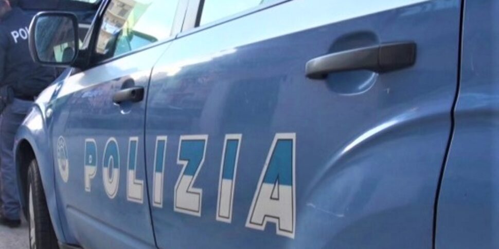 Un cane finisce sull'autostrada Modica-Siracusa: salvato dalla polizia
