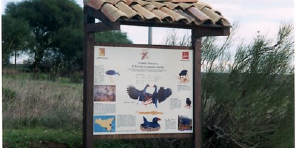 Gela, rifiuti smaltiti nelle aree a ridosso della Riserva protetta Biviere